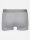 Bild 2 von Herren Retroshorts mit Webgummi im 2er Pack Grau