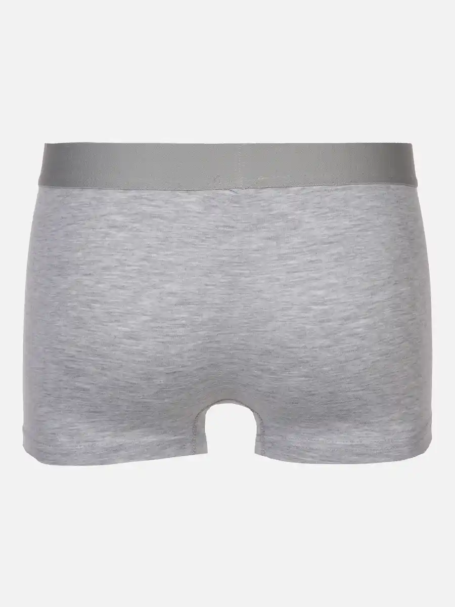 Bild 2 von Herren Retroshorts mit Webgummi im 2er Pack Grau