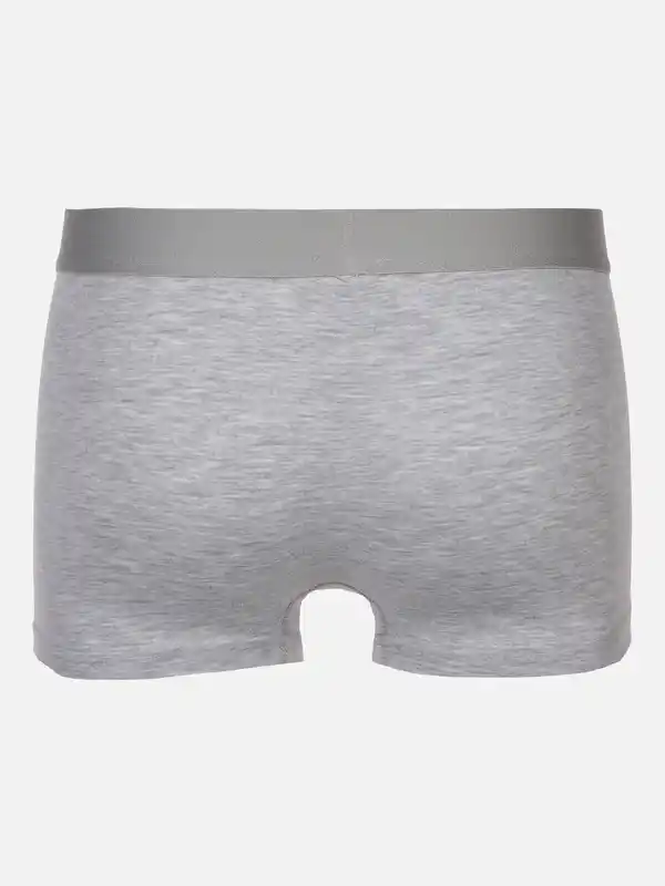 Bild 2 von Herren Retroshorts mit Webgummi im 2er Pack Grau