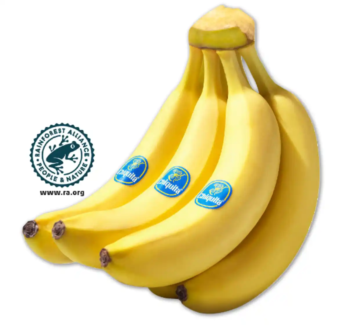 Bild 1 von CHIQUITA Bananen