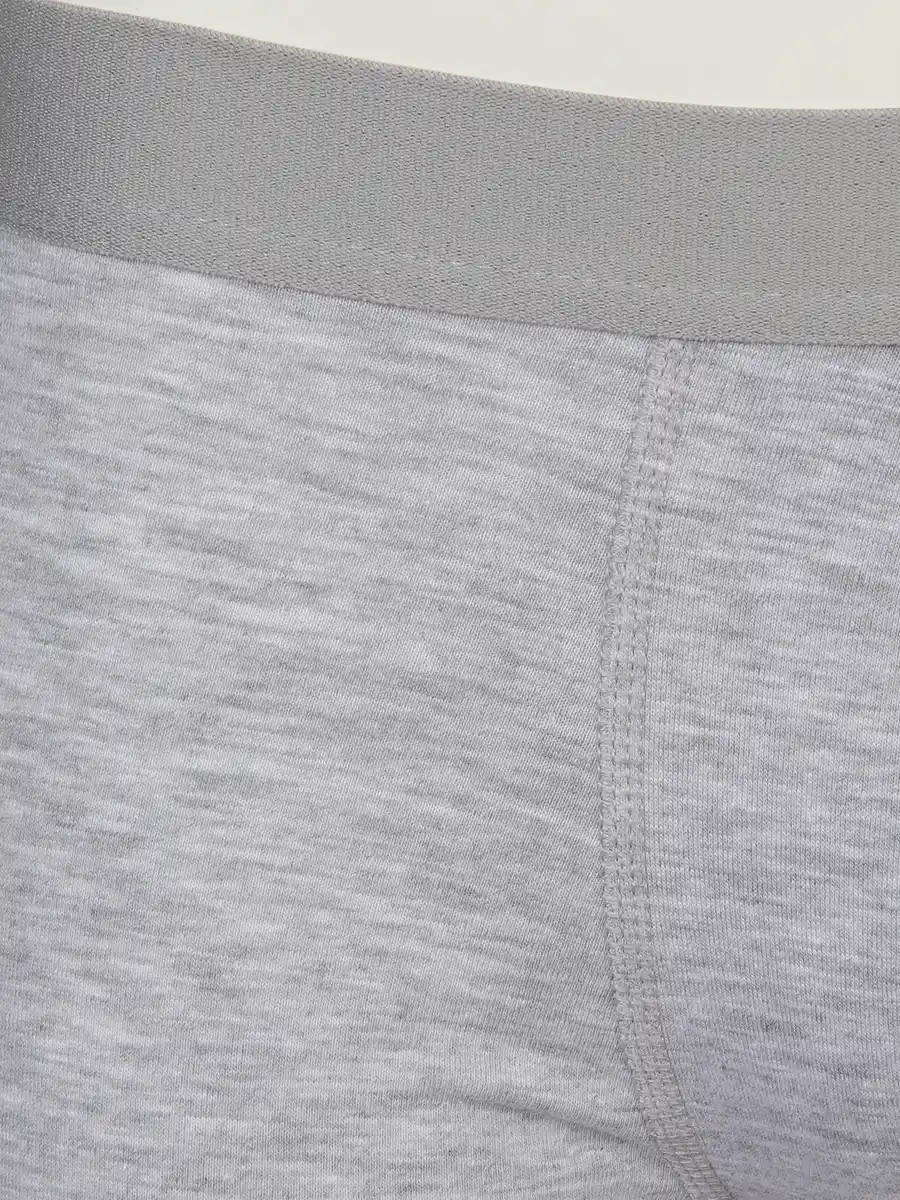 Bild 3 von Herren Retroshorts mit Webgummi im 2er Pack Grau