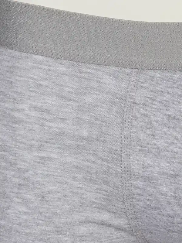 Bild 3 von Herren Retroshorts mit Webgummi im 2er Pack Grau