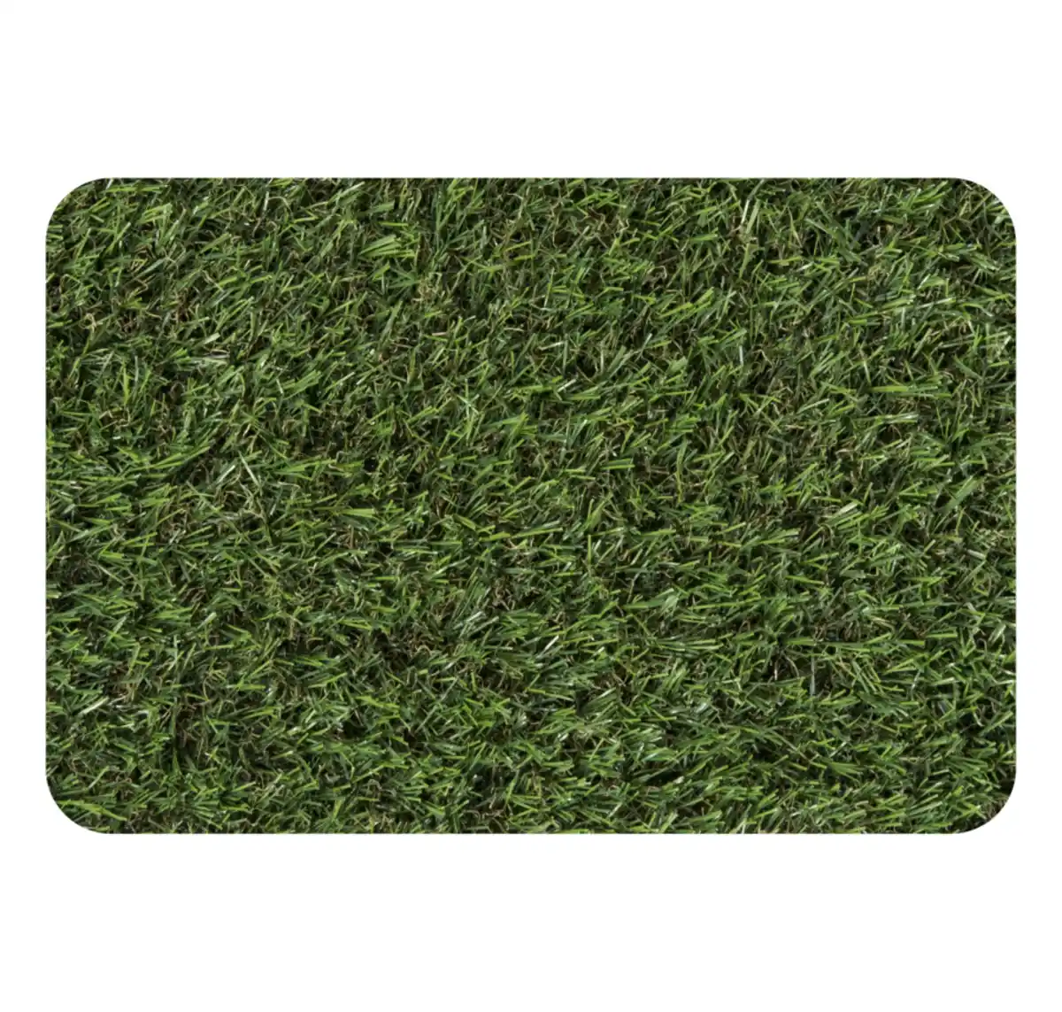 Bild 1 von Rasenteppich »Delfi«