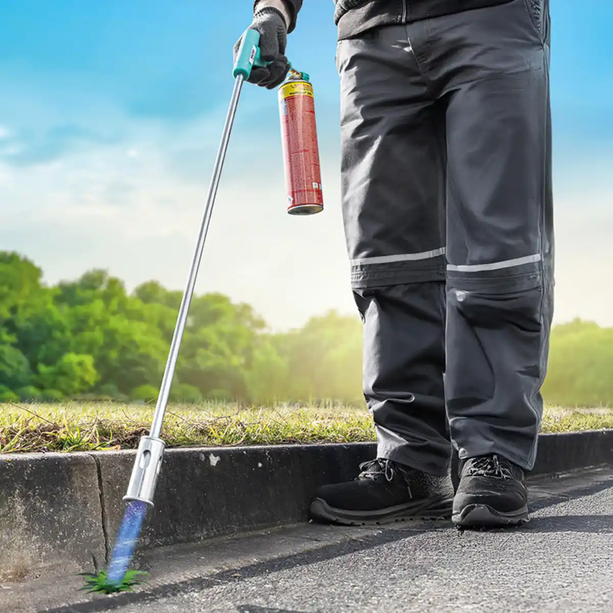 Bild 1 von Walter Unkrautbrenner