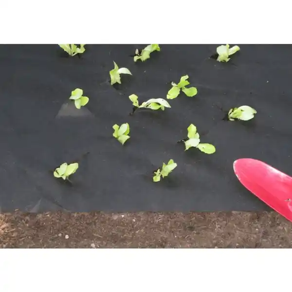 Bild 2 von Unkrautvlies, LxB: 10 x 1,2 m, 30 g/m², schwarz