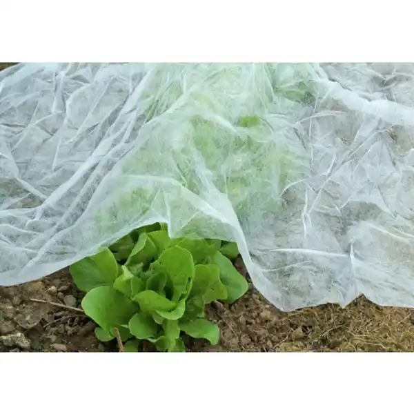 Bild 2 von Gartenvlies, LxB: 10 x 1,5 m, 17 g/m², weiß