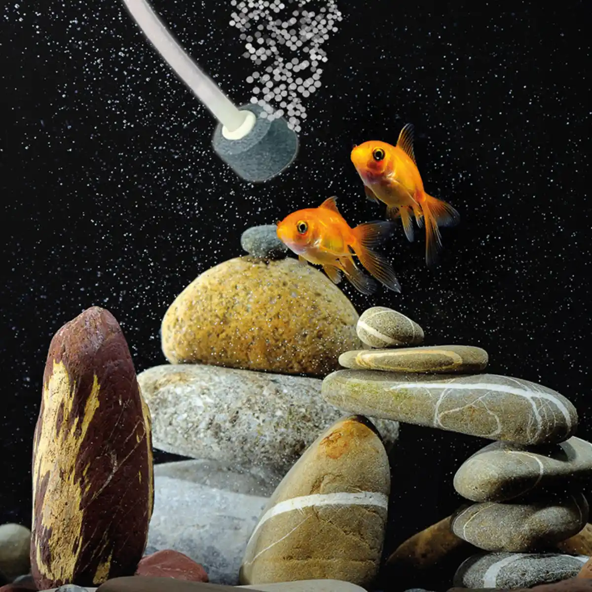 Bild 2 von Mauk Solar-Teichbelüfter