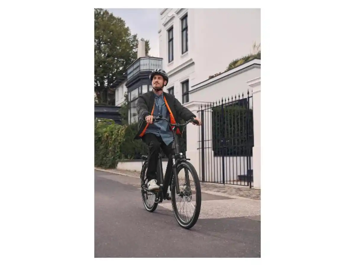 Bild 2 von CRIVIT Classic E-Bike