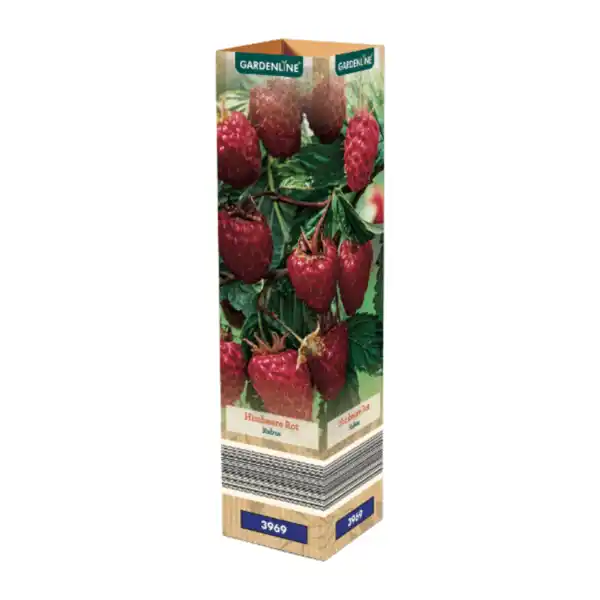 Bild 4 von GARDENLINE Himbeere