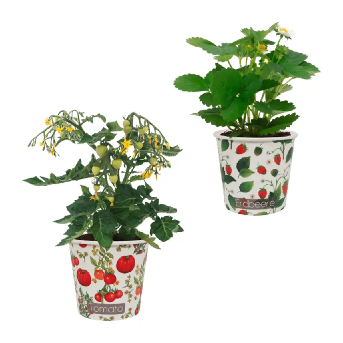 Bild 1 von GARDENLINE Obstmix im Becher