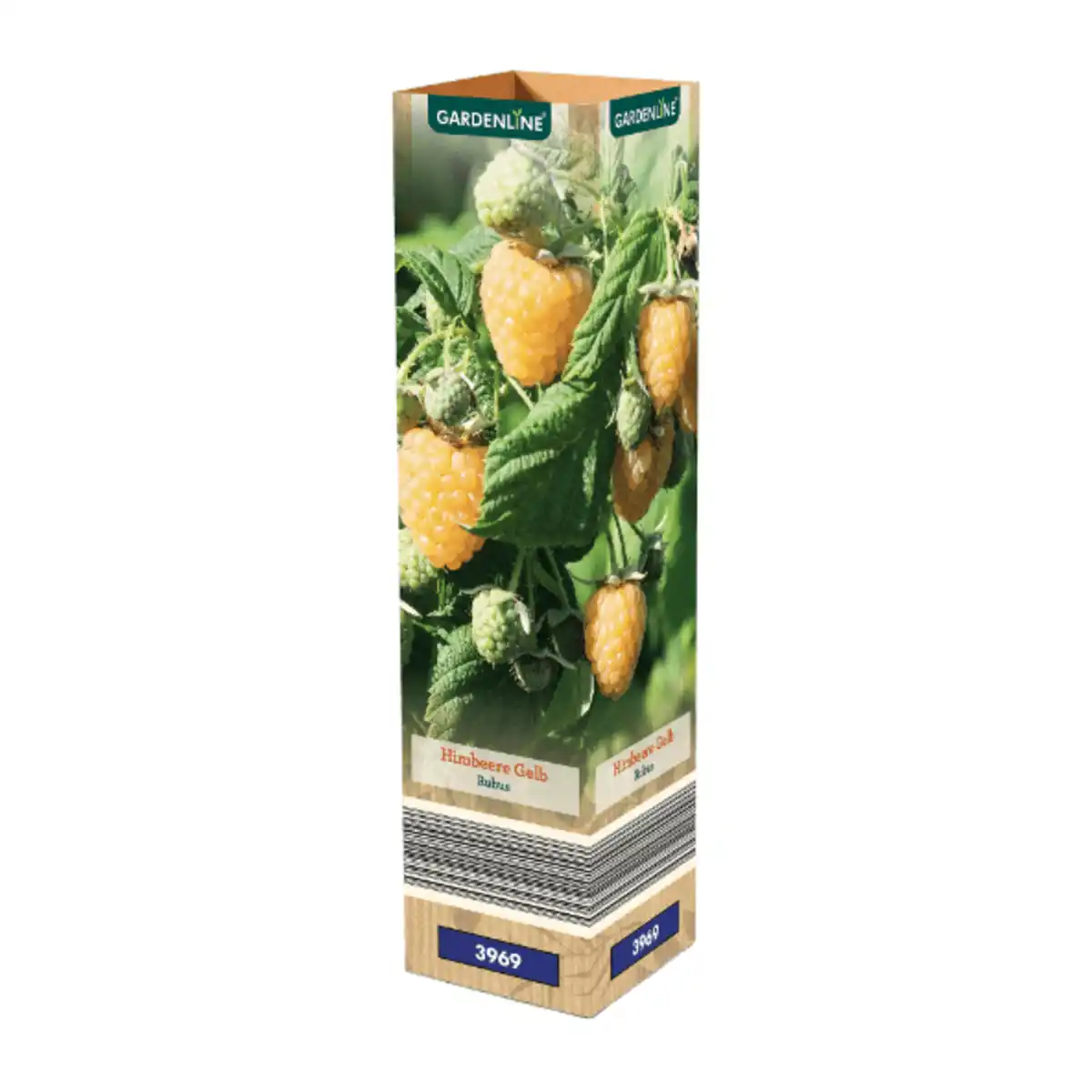 Bild 2 von GARDENLINE Himbeere