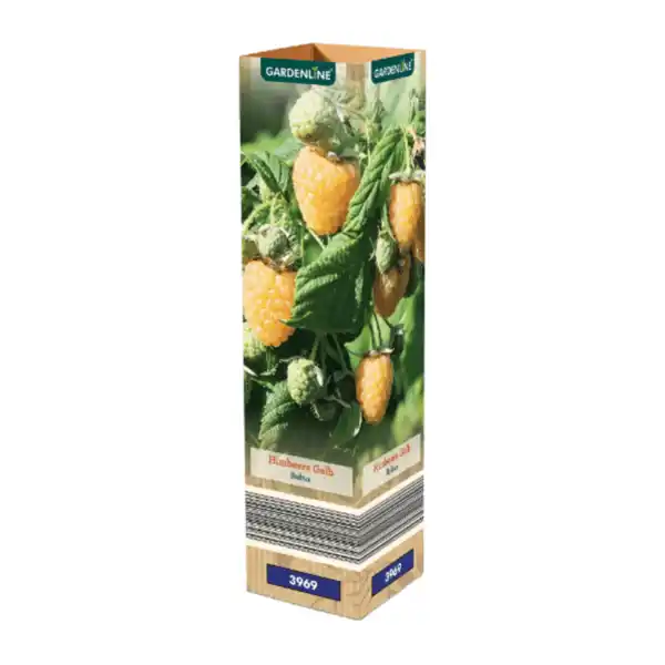 Bild 2 von GARDENLINE Himbeere