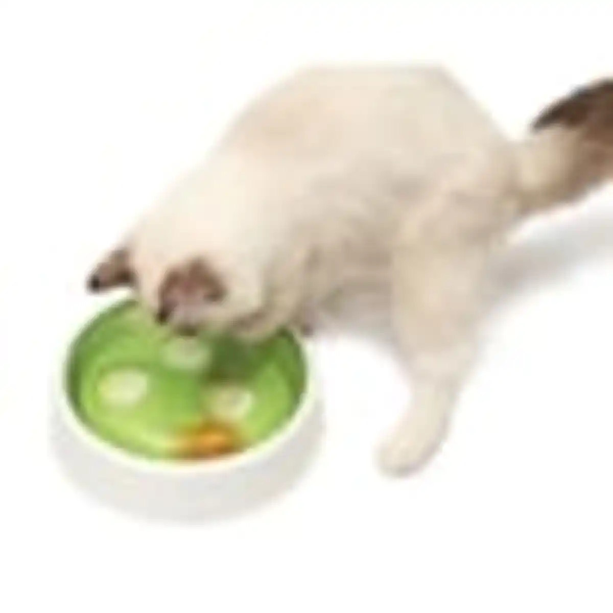 Bild 4 von Catit Senses 2.0 Ball Dome Ballspielzeug