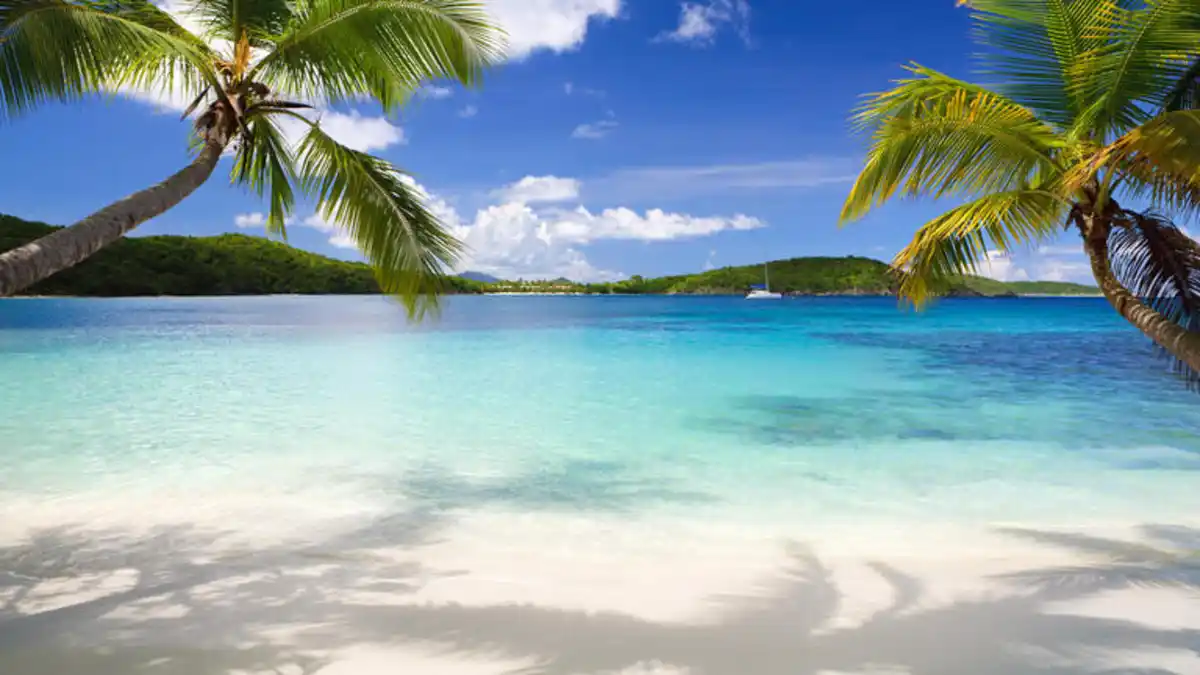 Bild 1 von Kreuzfahrten Transatlantik: Kreuzfahrt mit MSC Virtuosa von Rotterdam bis Fort-de-France