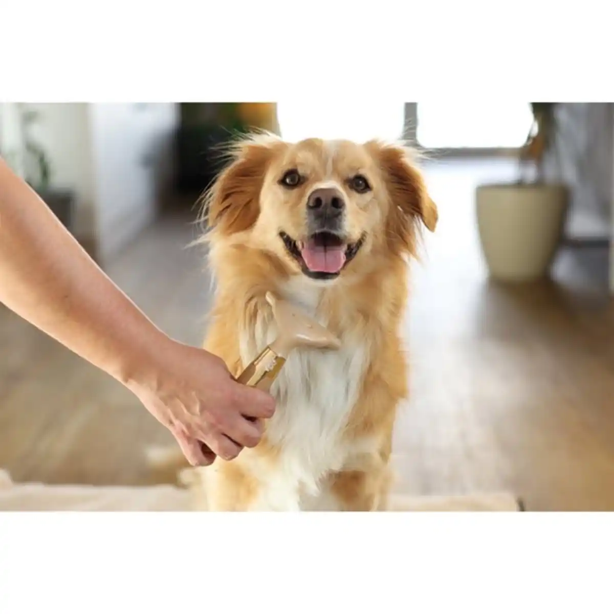 Bild 3 von Kerbl MagicBrush Unterwollkamm Hund Golden