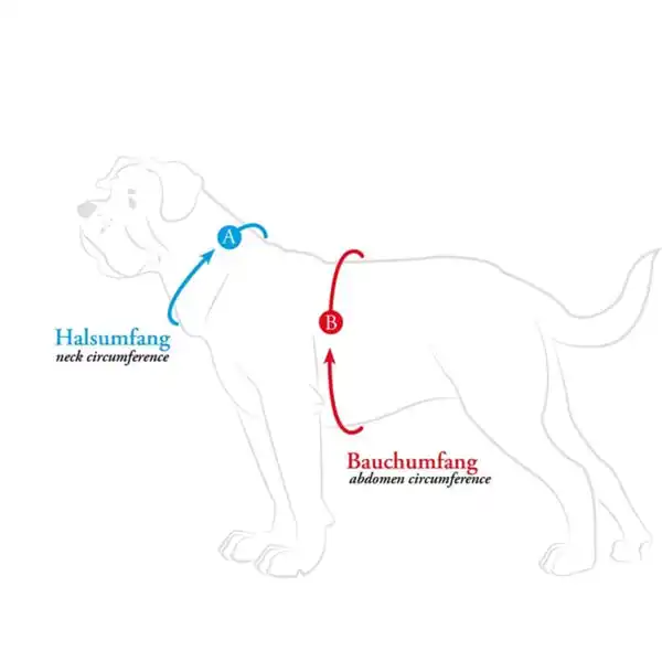 Bild 2 von Hunter Geschirr Divo rot 34-47/XS