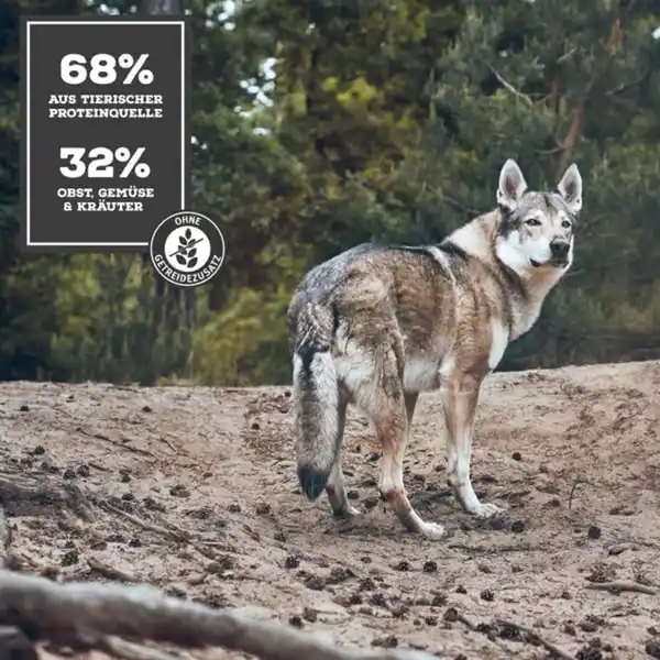 Bild 2 von MOON Ranger Pferd mit Pastinake 400g