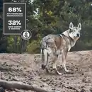 Bild 2 von MOON Ranger Wild mit Kürbis 400g