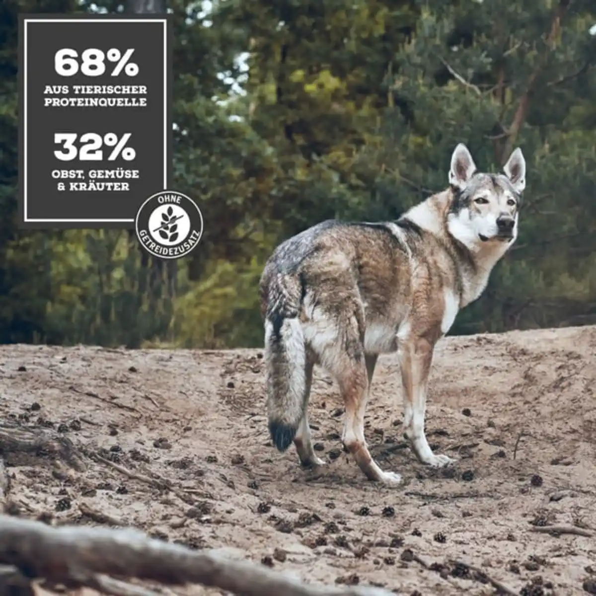 Bild 2 von MOON Ranger Wild mit Kürbis 400g