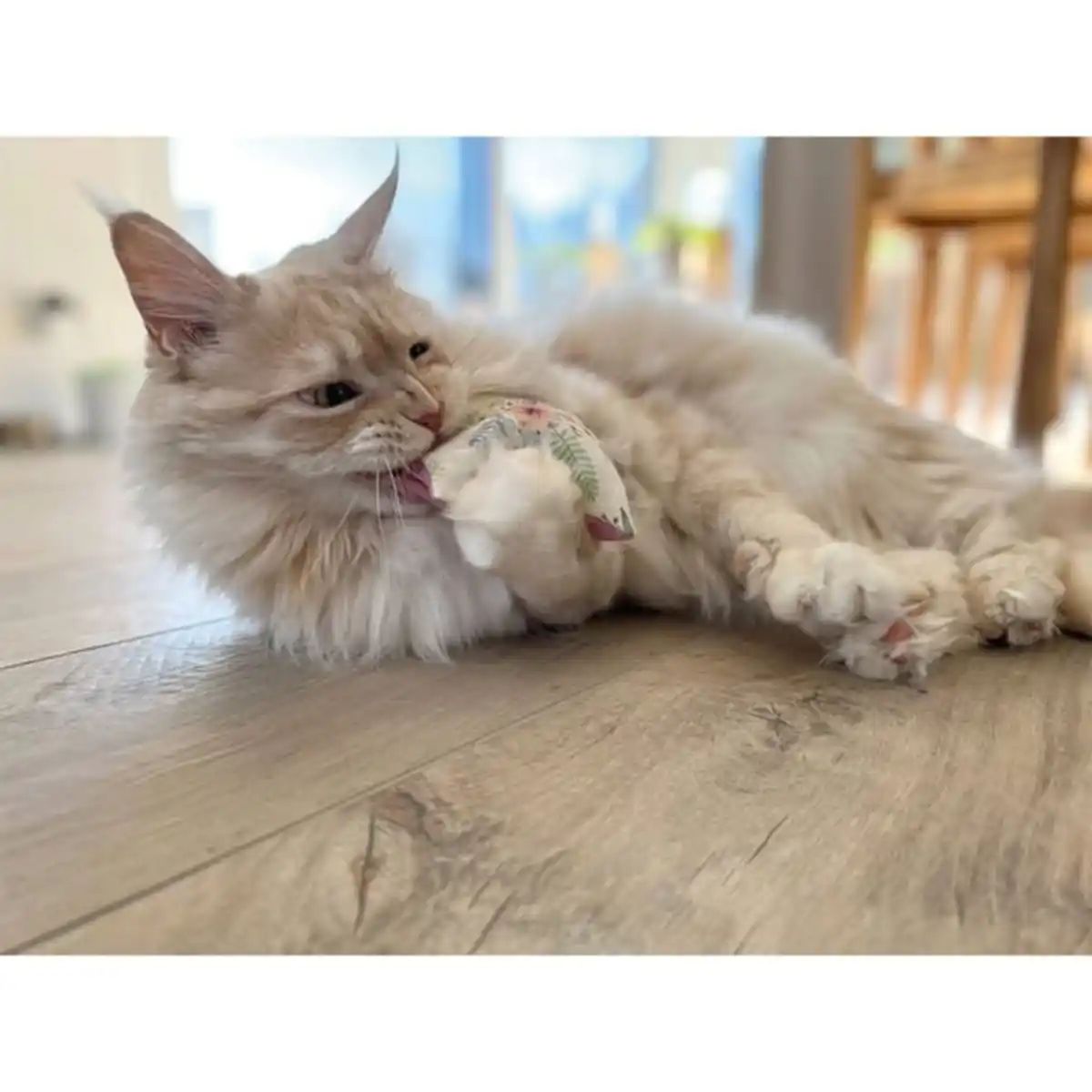 Bild 2 von Aumüller Katzenspielkissen Recycled Soft Flowers Mini