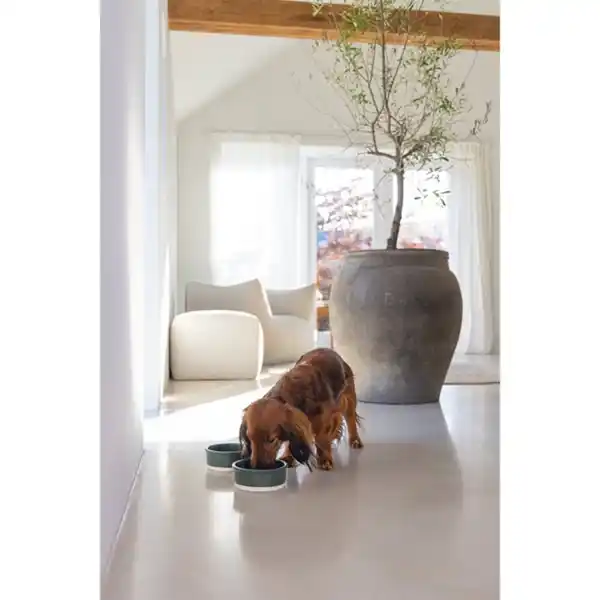 Bild 3 von Designed by Lotte Keramiknapf Joa Grün Ø 13cm