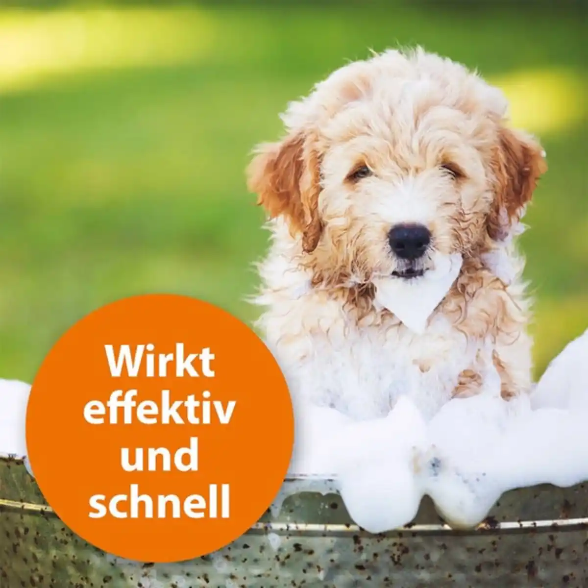 Bild 3 von ARDAP Anti Zecken Shampoo für Hunde 250ml