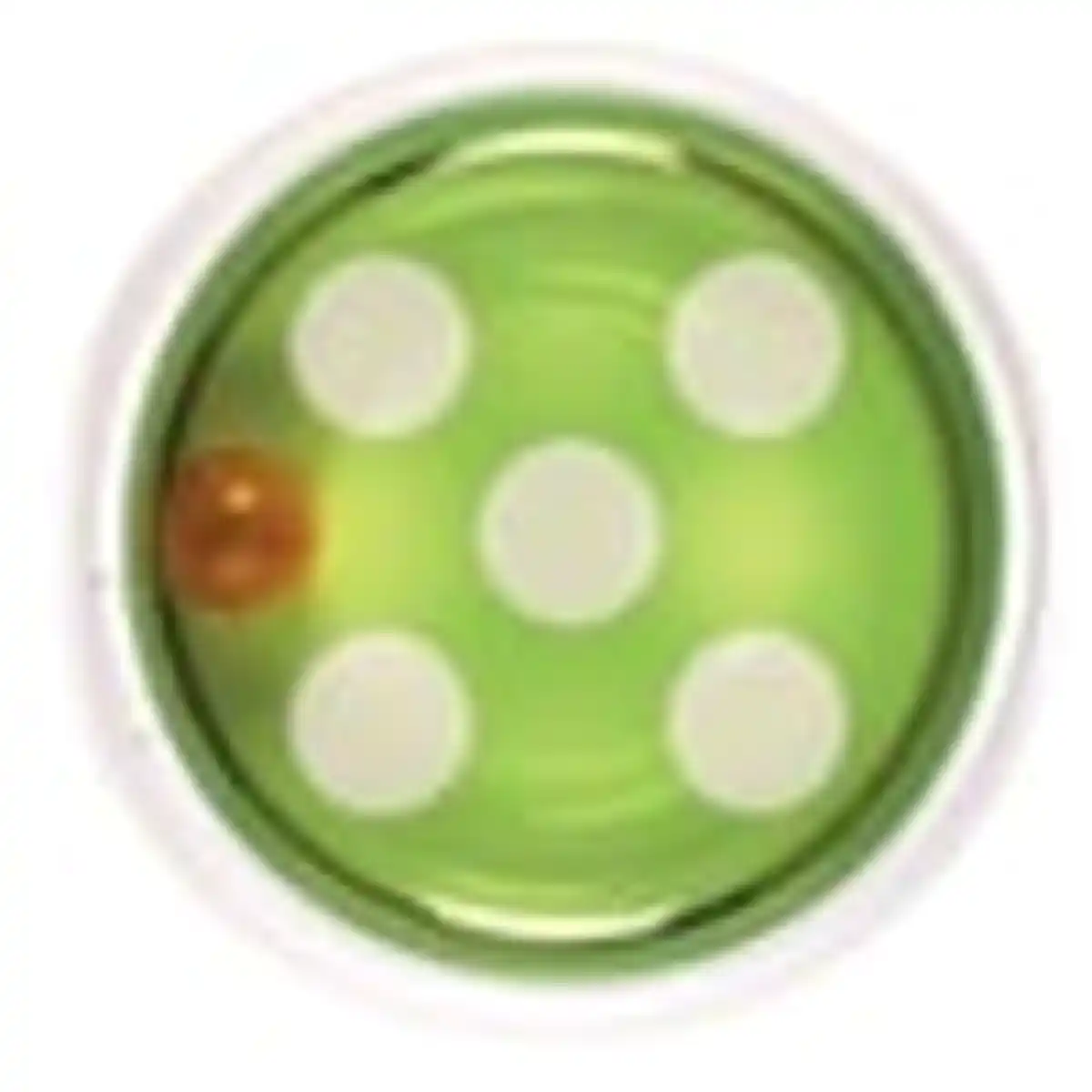 Bild 3 von Catit Senses 2.0 Ball Dome Ballspielzeug