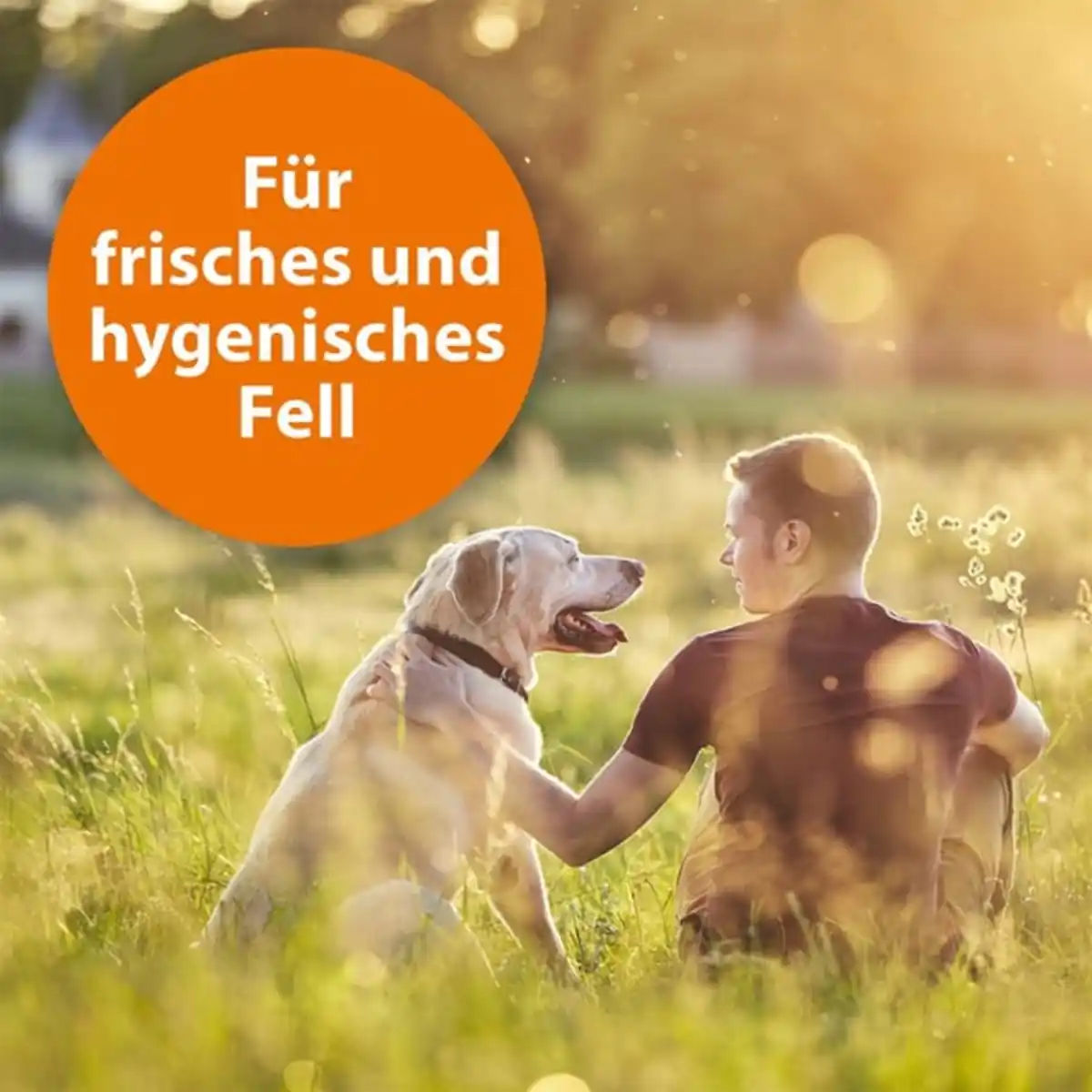 Bild 4 von ARDAP Anti Zecken Shampoo für Hunde 250ml