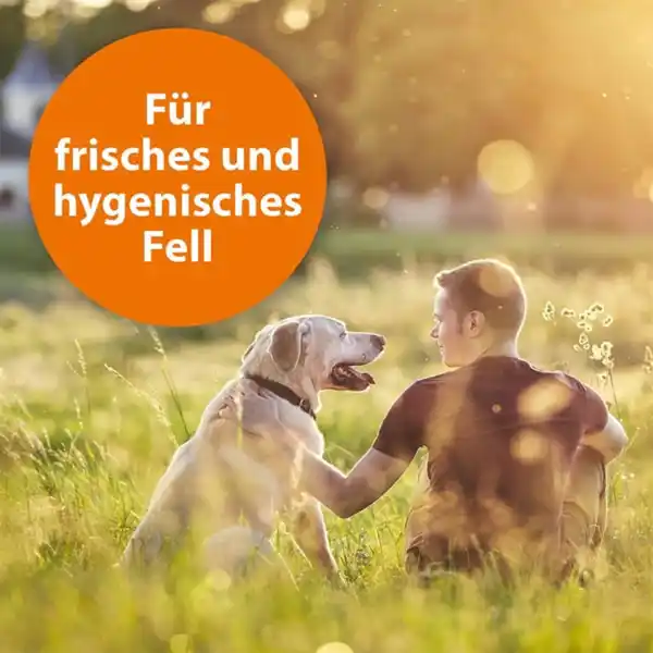 Bild 4 von ARDAP Anti Zecken Shampoo für Hunde 250ml