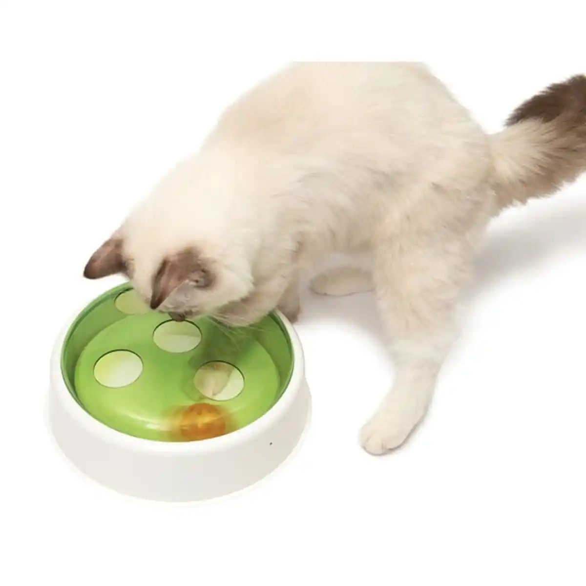 Bild 2 von Catit Senses 2.0 Ball Dome Ballspielzeug