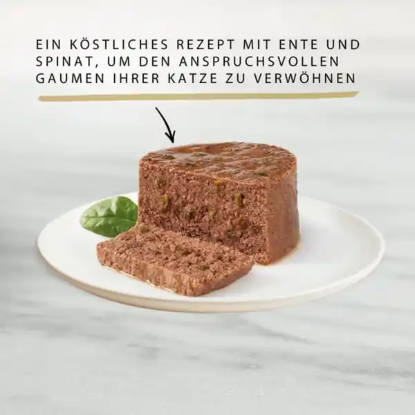 Bild 2 von GOURMET Gold Feine Pastete mit Gemüse, Ente und Spinat 12x85g