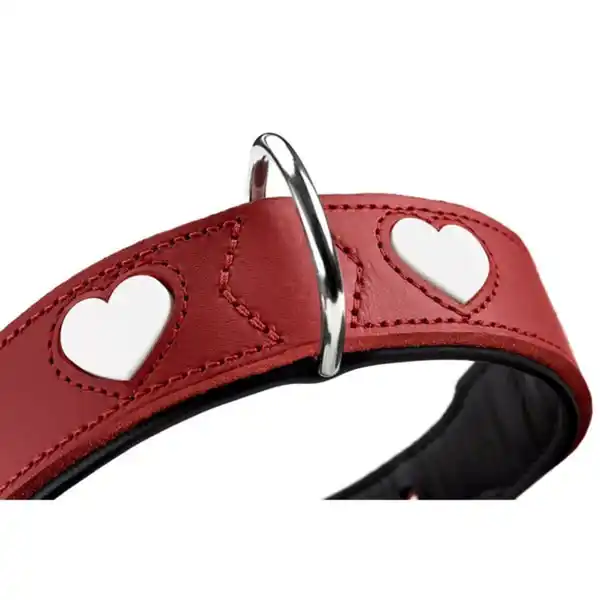 Bild 4 von Hunter Halsband Love rot/schwarz 32/XS