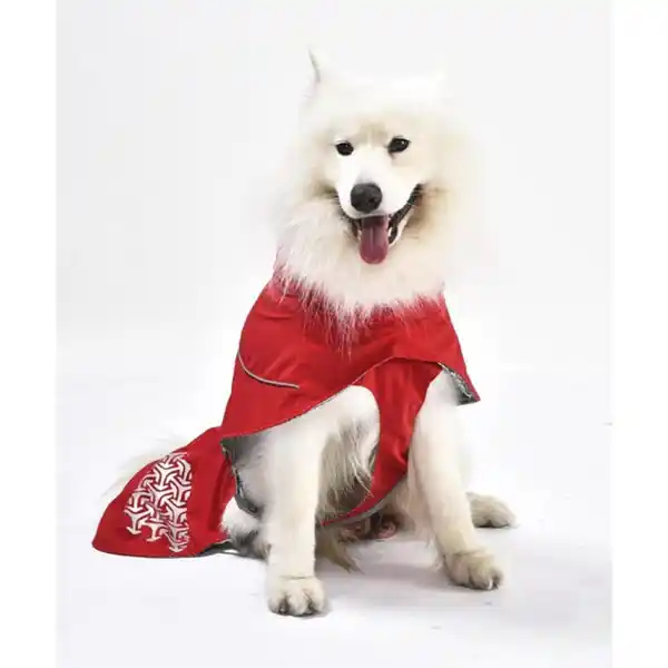 Bild 4 von iEnergy JUD Hundewintermantel XS