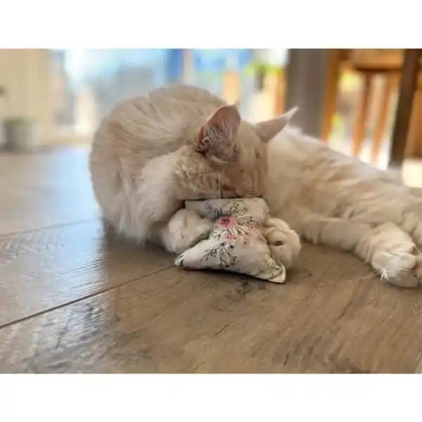 Bild 3 von Aumüller Katzenspielkissen Recycled Soft Flowers Mini