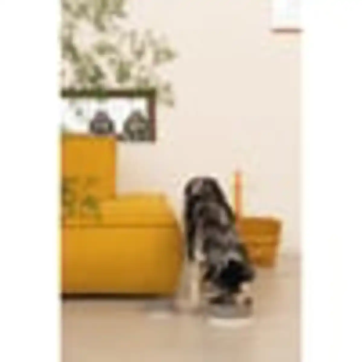 Bild 4 von Designed by Lotte Keramiknapf Joa Grau Ø 13cm