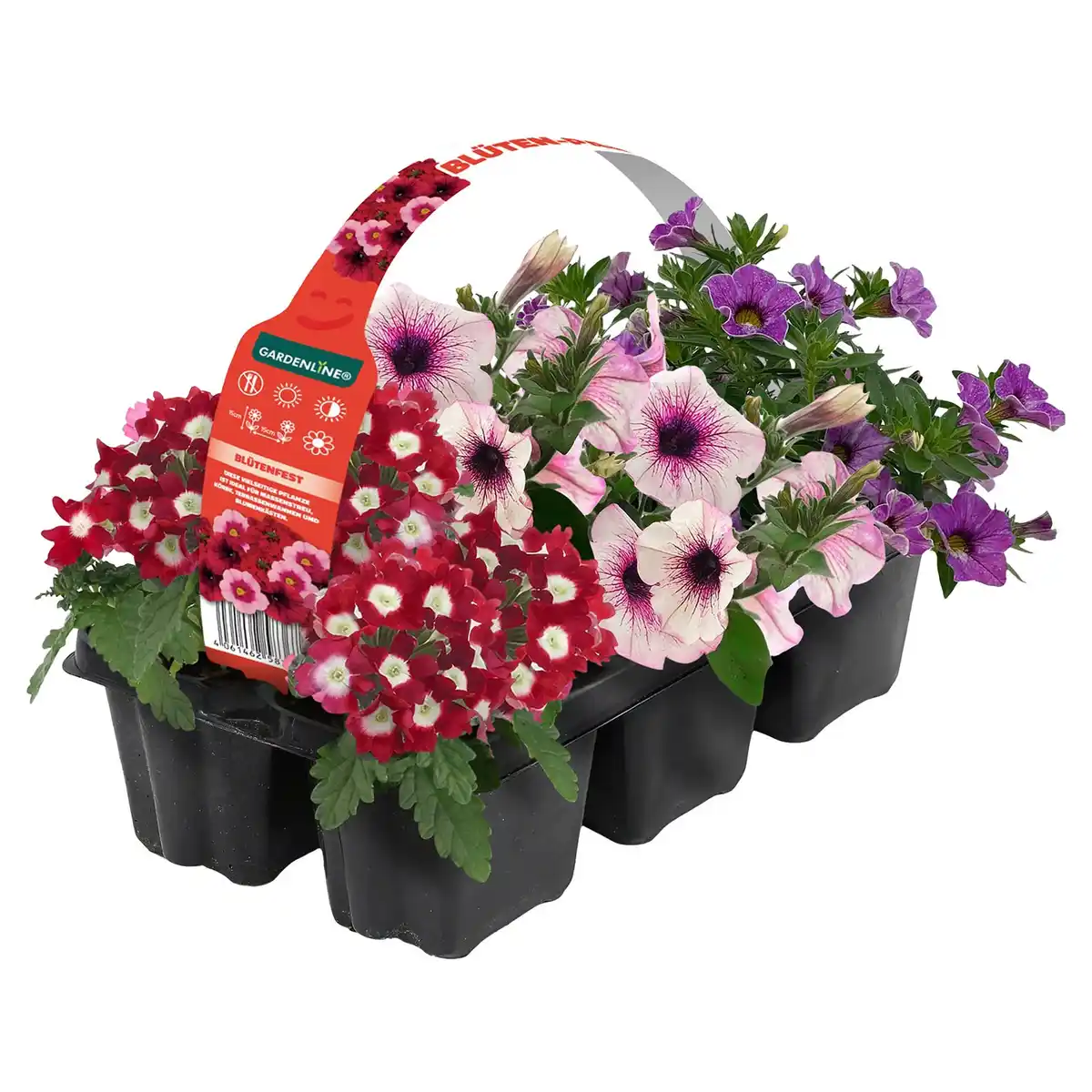 Bild 1 von GARDENLINE 6er Ton in Ton