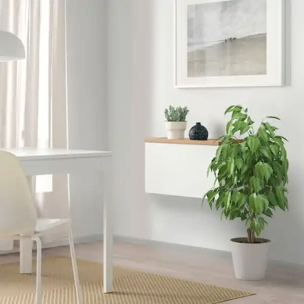 Bild 2 von BESTÅ Schrankkombination für Wandmontage, weiß Lappviken/Eichenfurnier 60x22x40 cm