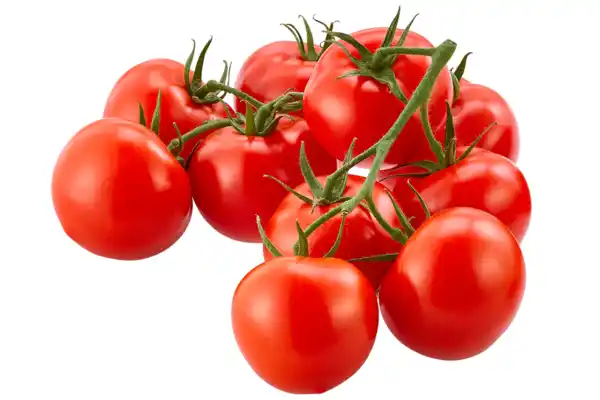 Bild 1 von Cocktail- oder Cherry- strauchtomaten