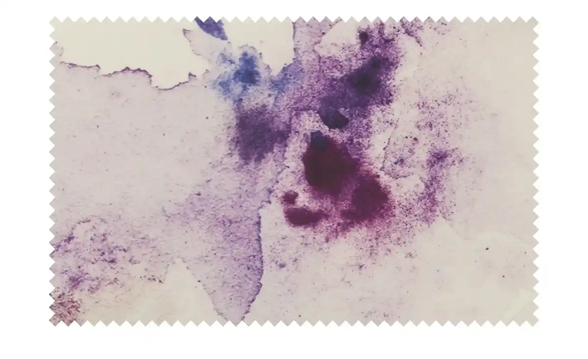 Bild 3 von Como Green Renforcé Bettwäsche Floral Dreams