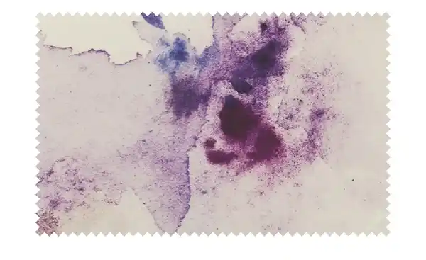 Bild 3 von Como Green Renforcé Bettwäsche Floral Dreams