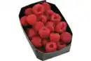 Bild 1 von Himbeeren