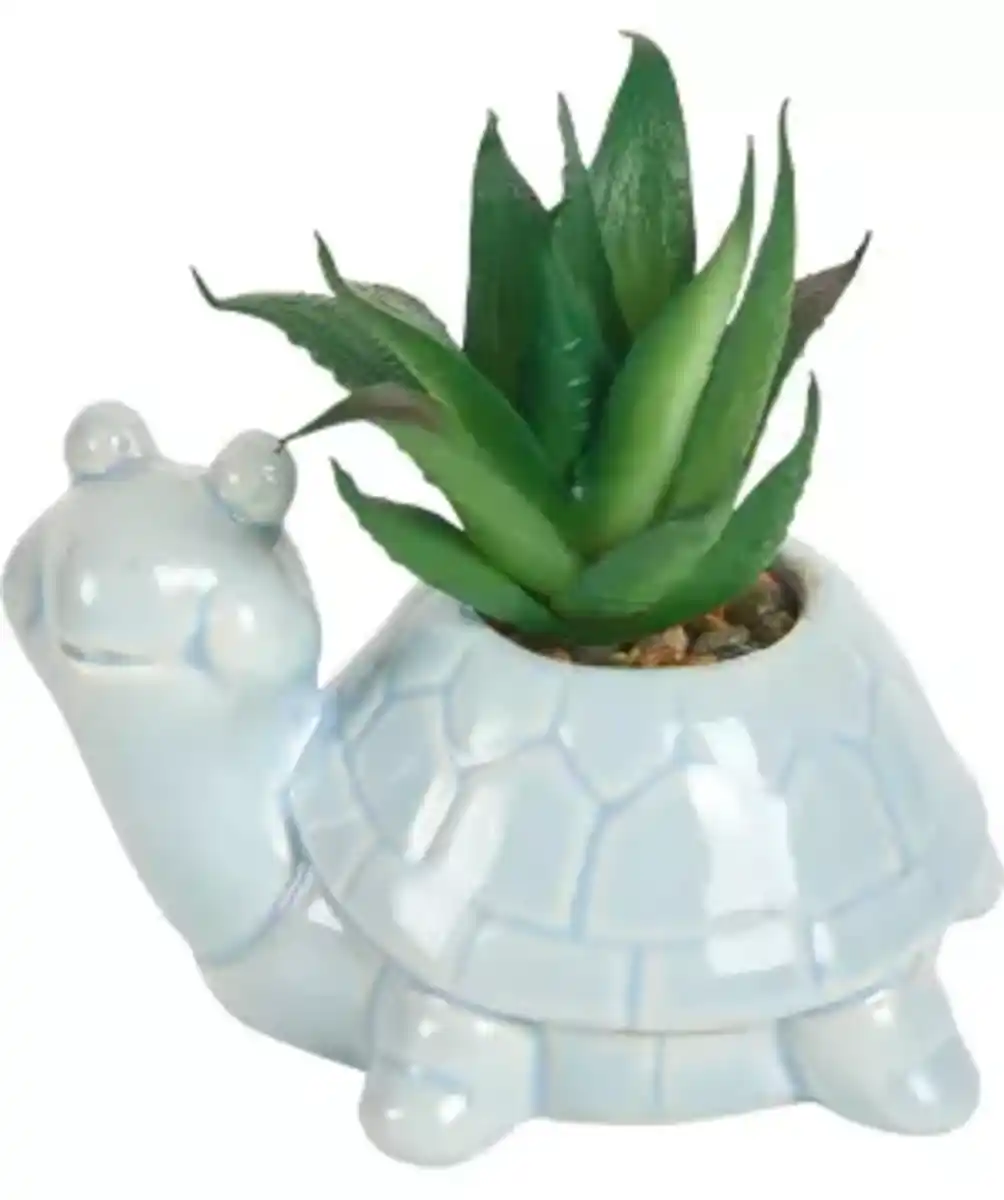 Bild 1 von Kunst-Sukkulente im maritimen Topf, hellblau