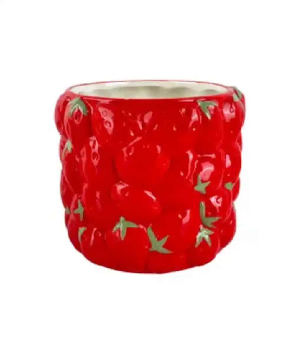 Bild 1 von Pflanztopf Früchte, rot