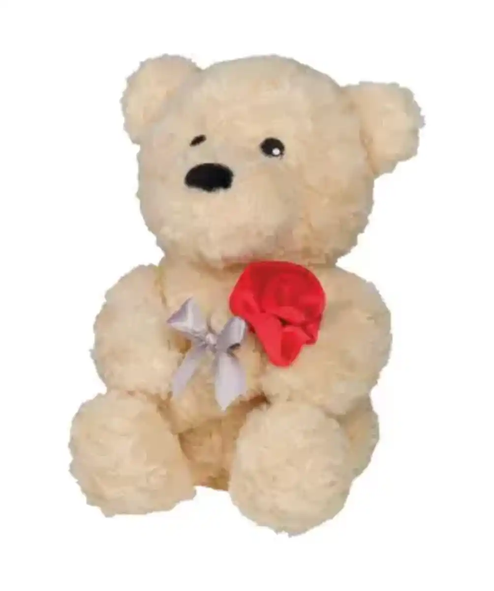 Bild 1 von Plüschtier Bär, Beige