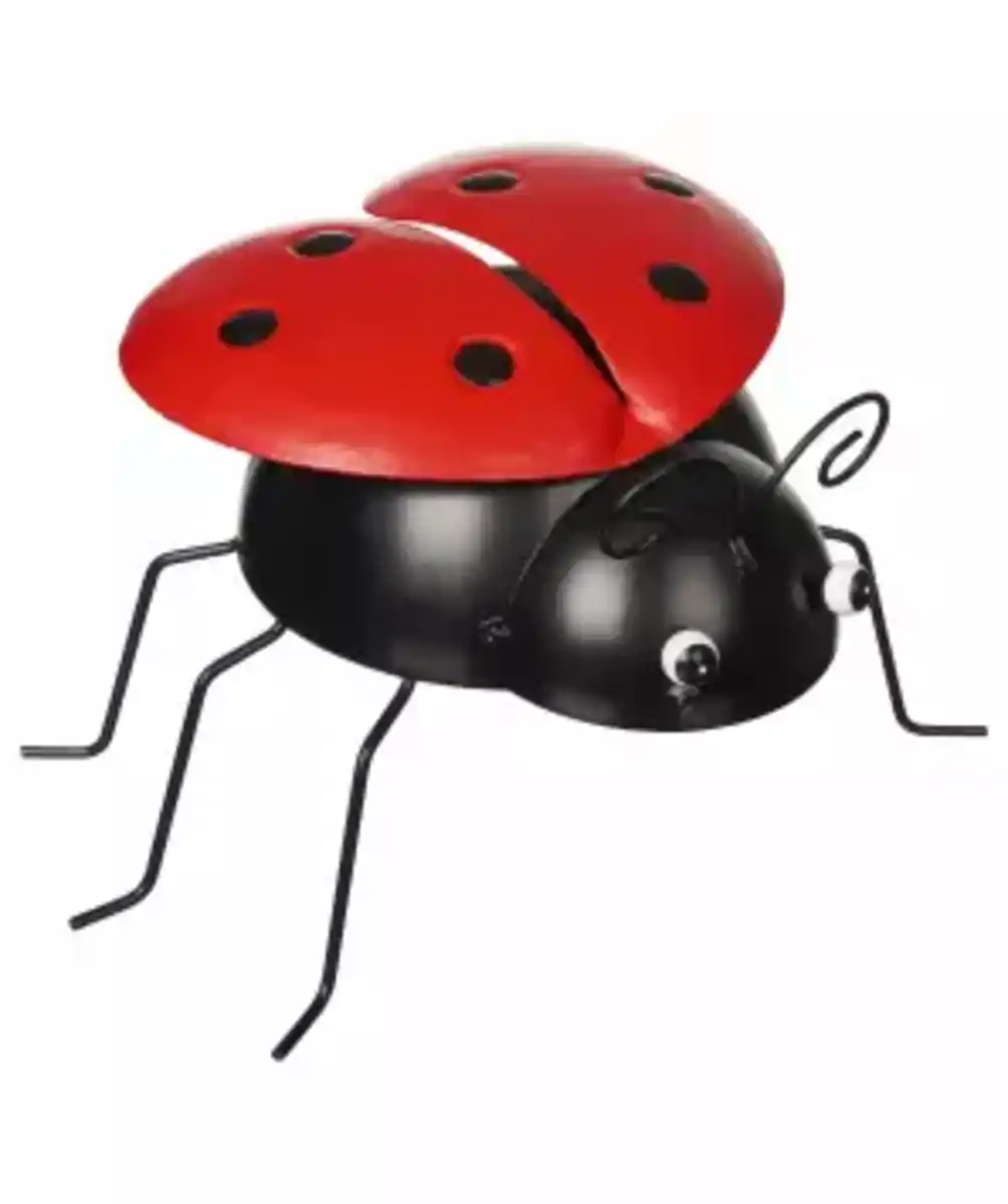 Bild 1 von Deko-Marienkäfer, rot