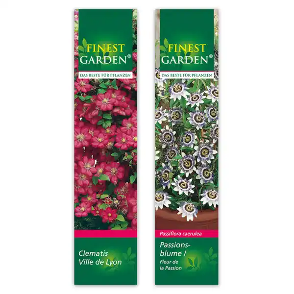 Bild 3 von Finest Garden Winterharte Kletterpflanze