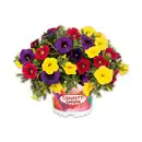 Bild 2 von Confetti Garden Trio Mix