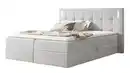 Bild 1 von Boxbett 160 x 200 cm mit Bettkasten grau Stoffbezug - DALIO
