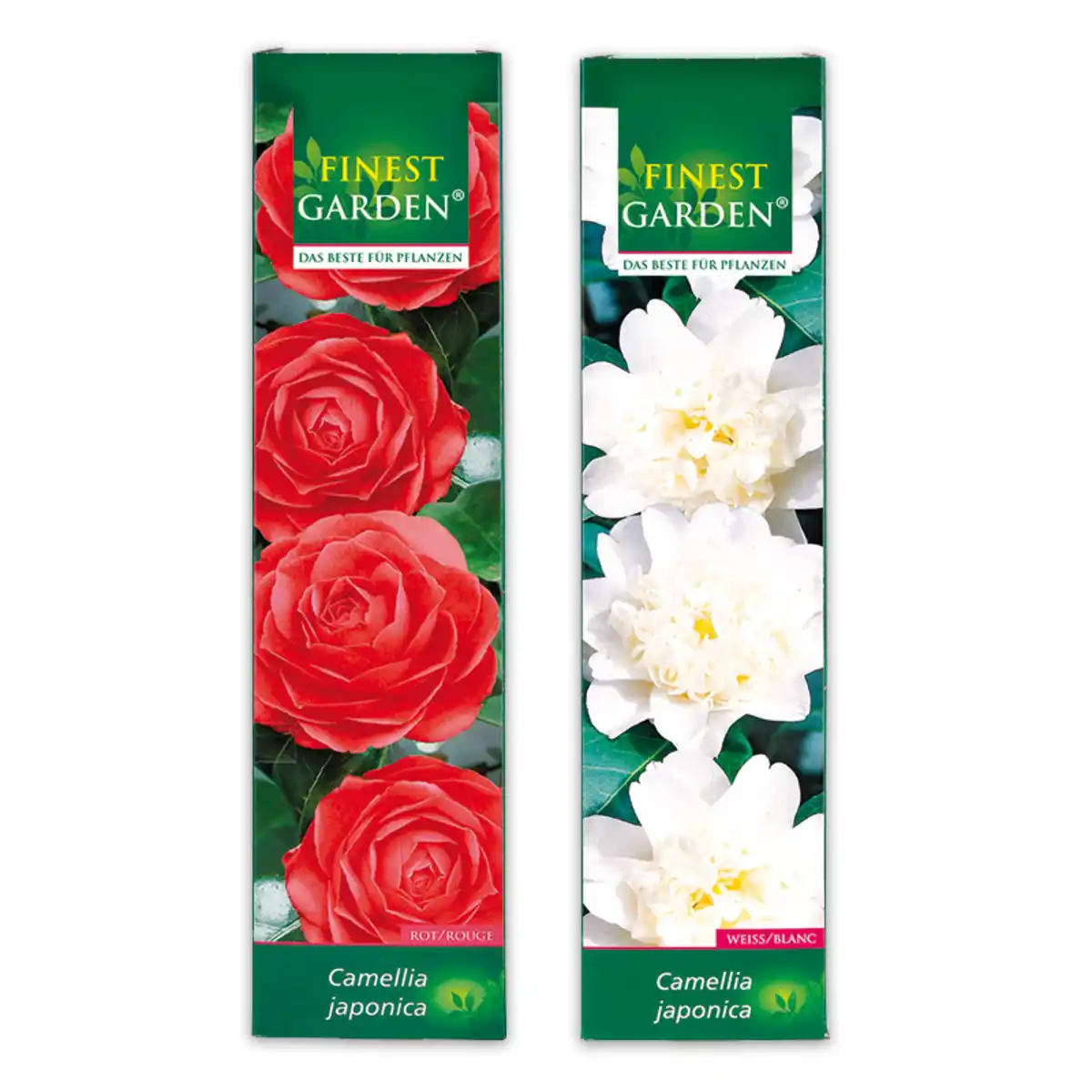 Bild 1 von Finest Garden Blühende Gartenraritäten