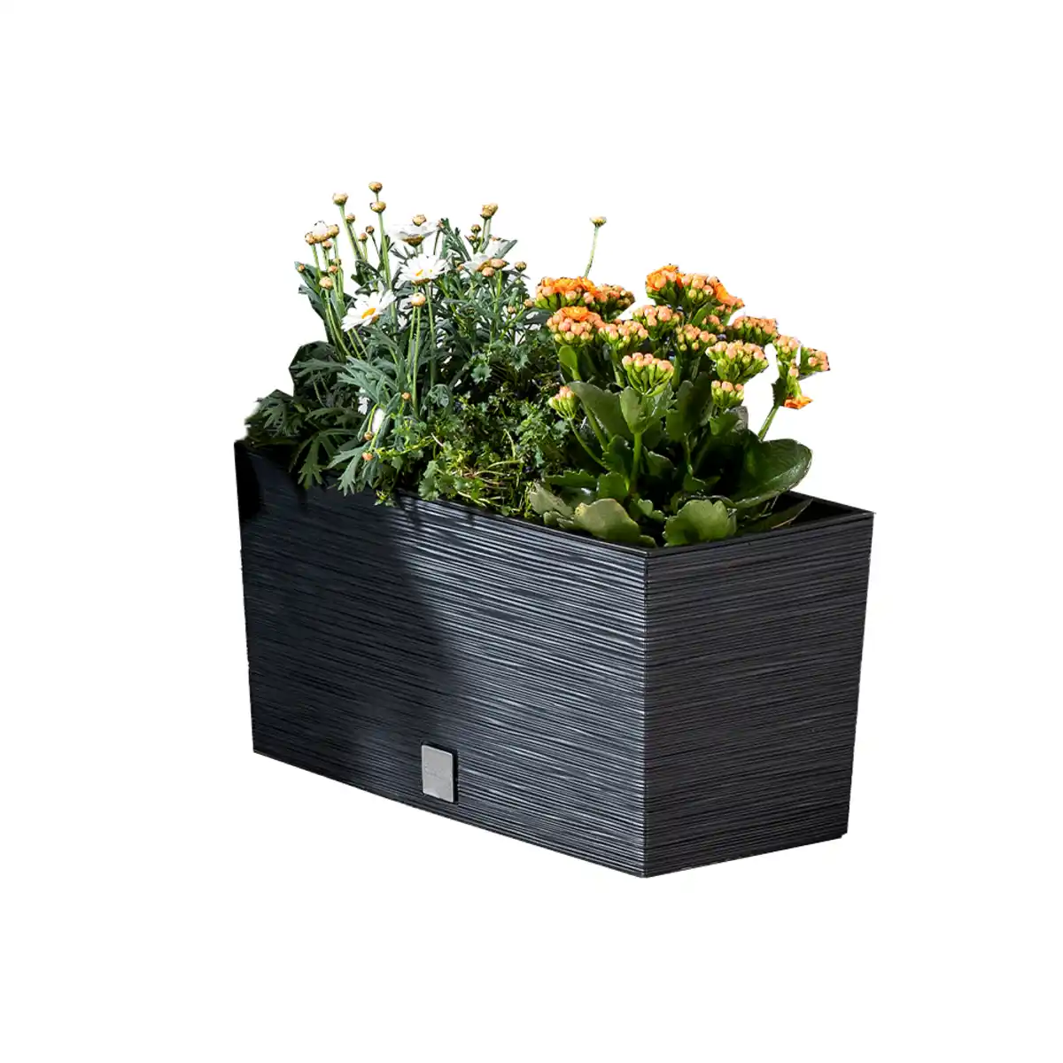 Bild 1 von Powertec Garden Blumenkasten "Florenz" - ca. 12 Liter, Anthrazit 